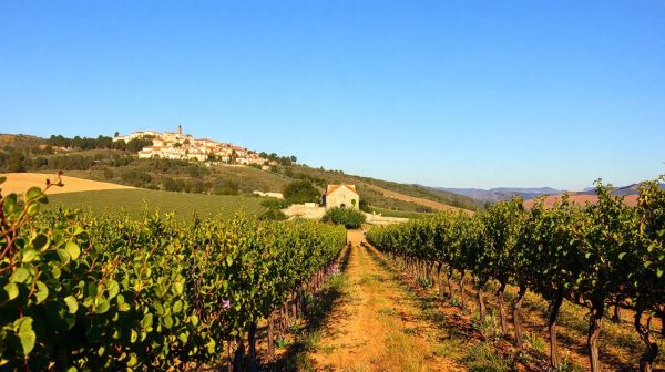 10 incontournables pour visiter et déguster à Châteauneuf du Pape