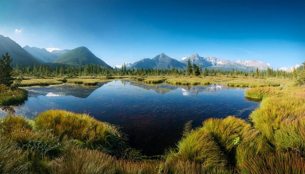 Comment choisir une croisière qui propose des excursions pour découvrir les grottes marines en Nouvelle-Zélande?